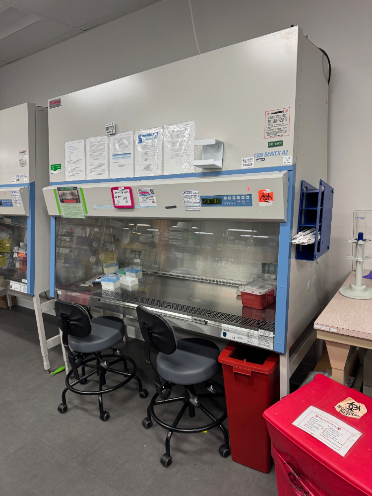 Image of Thermo 1300 Series A2 6' BioSafety Cabinet